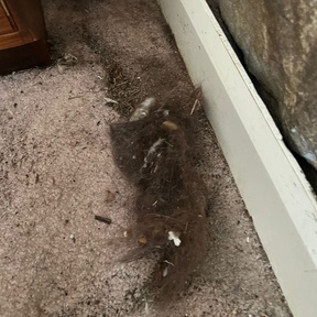 Deep Cleaning Tadcaster